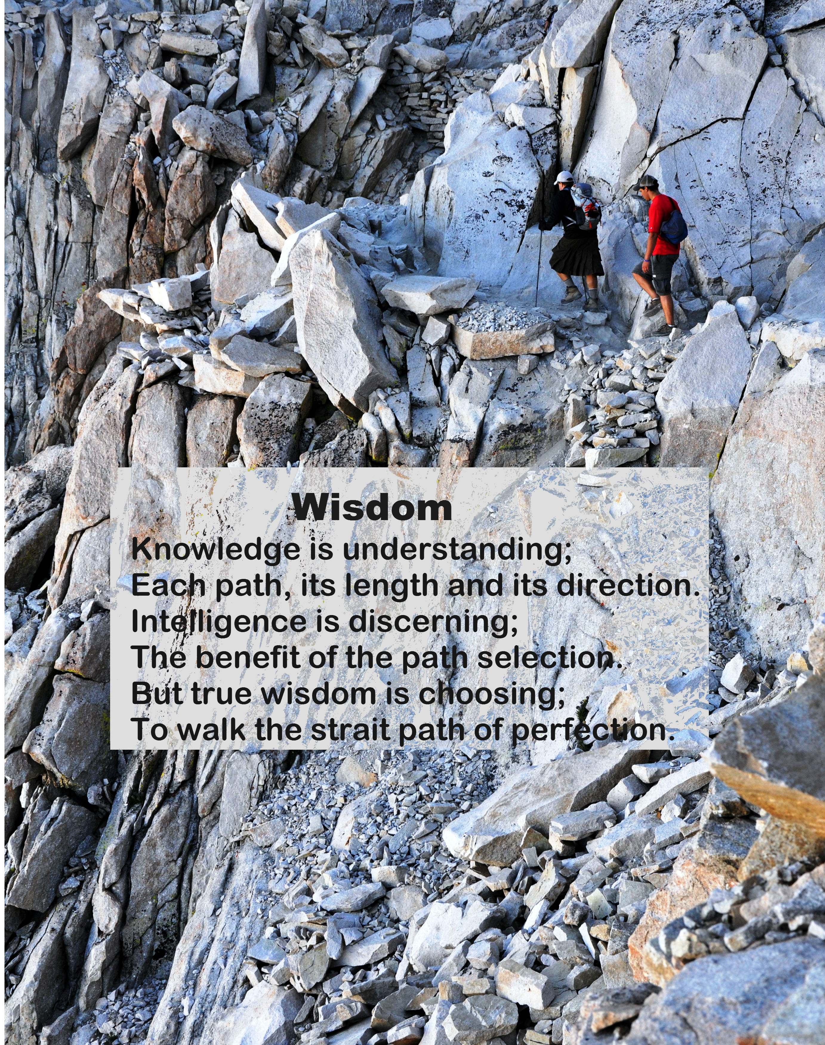 Wisdom6